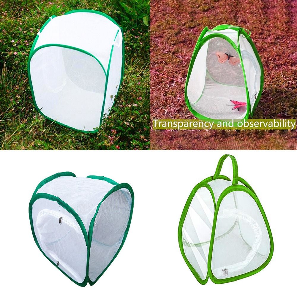 Green Screen Collapsible - Cage à insectes pliable verte, ouverture
