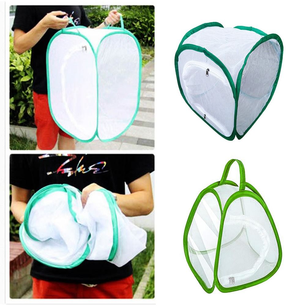Green Screen Collapsible - Cage à insectes pliable verte, maille