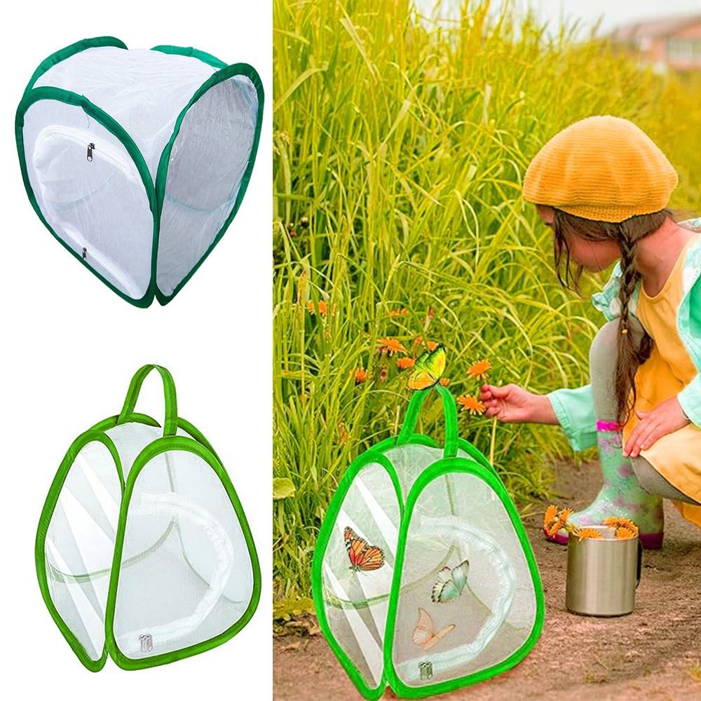 Green Screen Collapsible - Cage à insectes pliable verte, maille