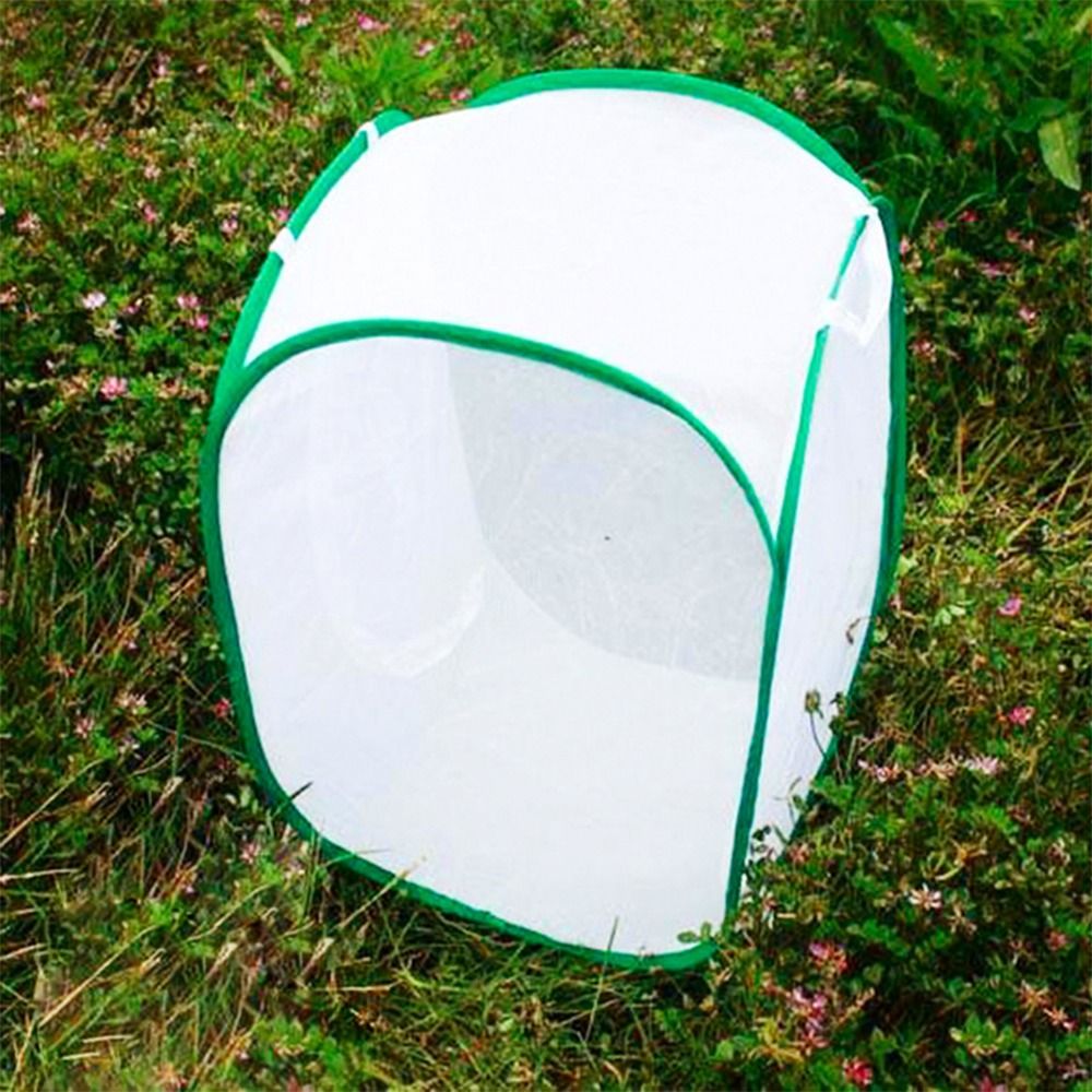 Cage à insectes pliable verte, - Green Screen Collapsible avis et prix