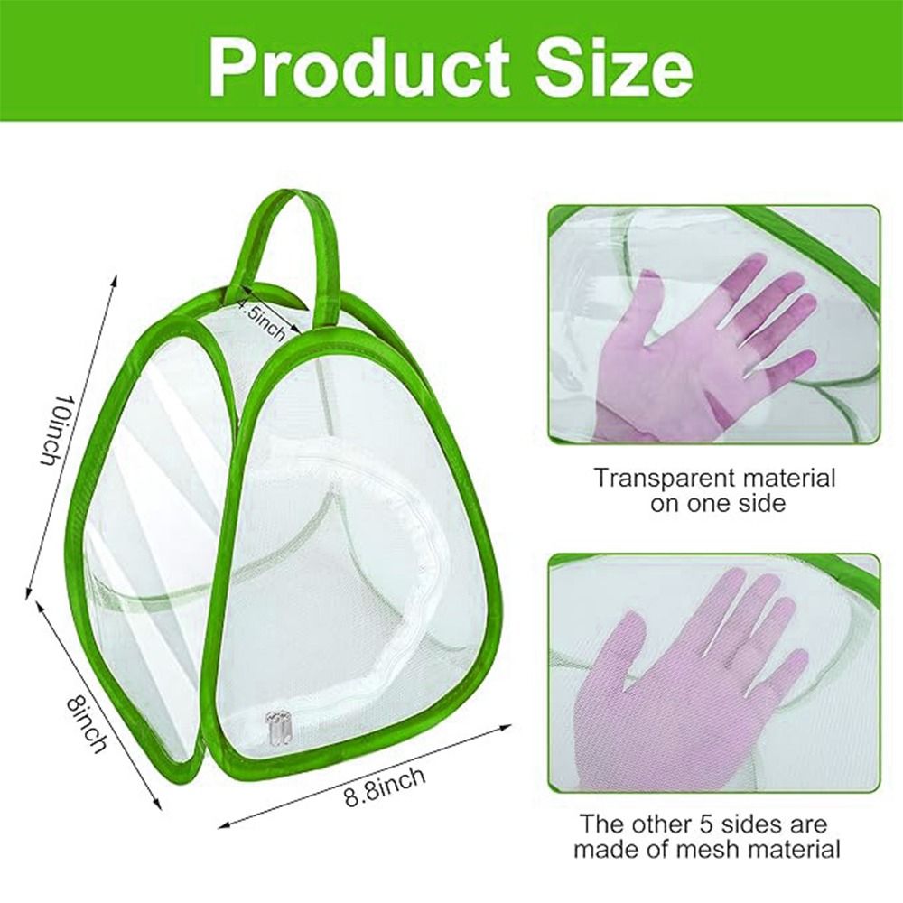Cage à insectes pliable verte, - Green Screen Collapsible avis et prix