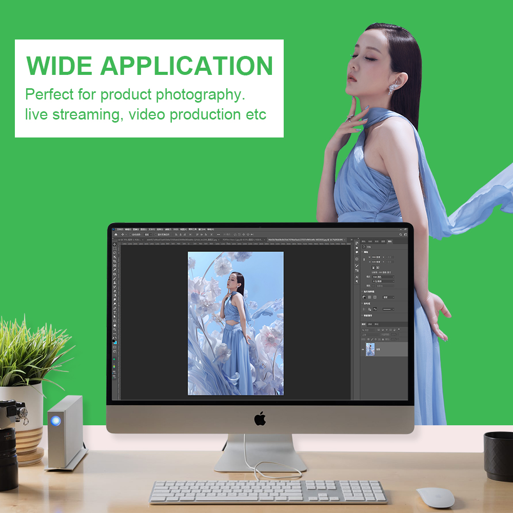 Fond pour arrière-plans de pho - Green Screen Collapsible avis et prix