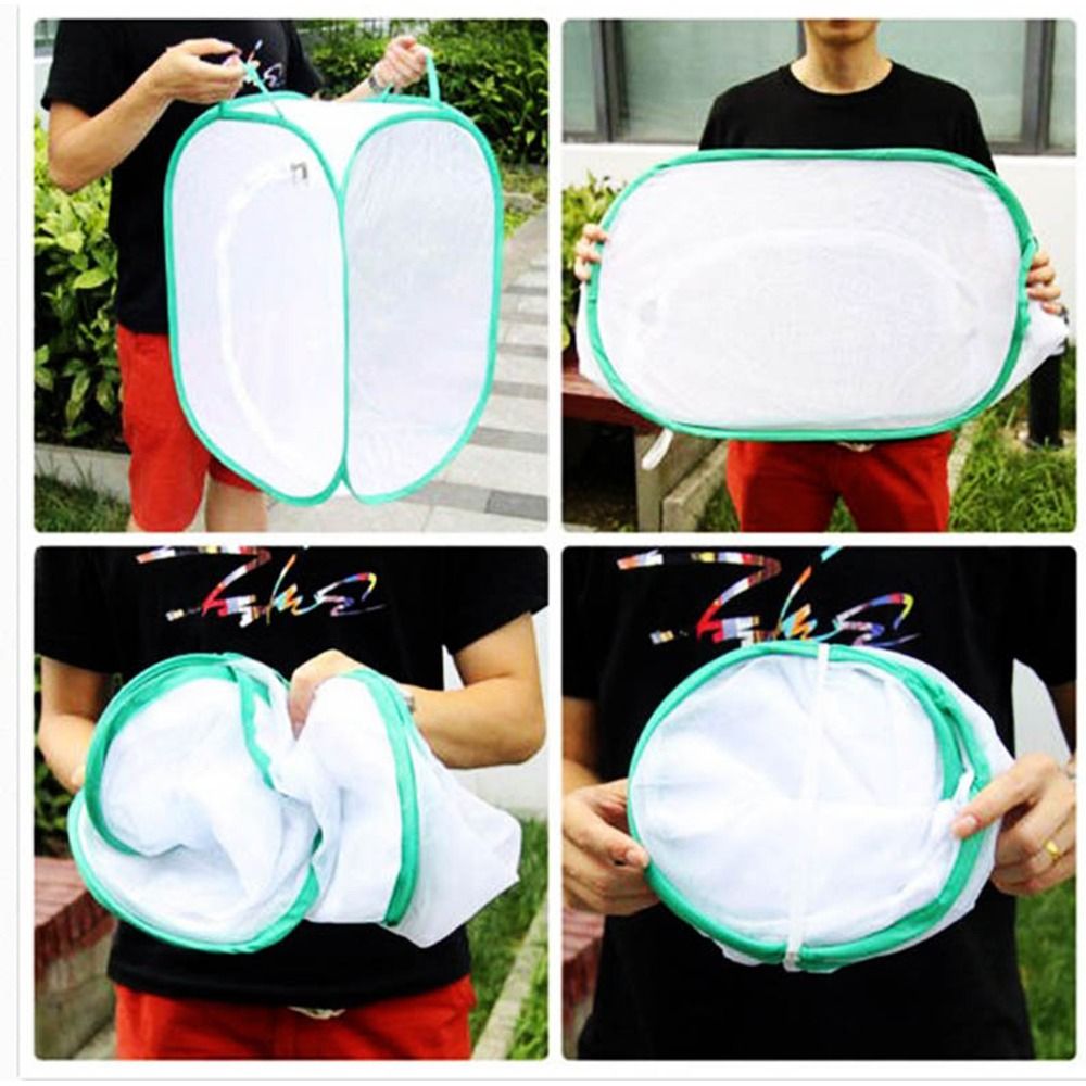 Cage à insectes pliable verte, - Green Screen Collapsible avis et prix