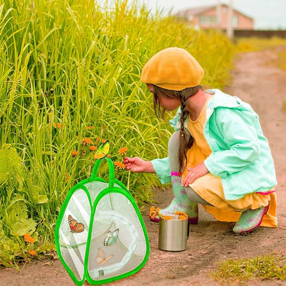 Cage à insectes pliable verte, - Green Screen Collapsible avis et prix