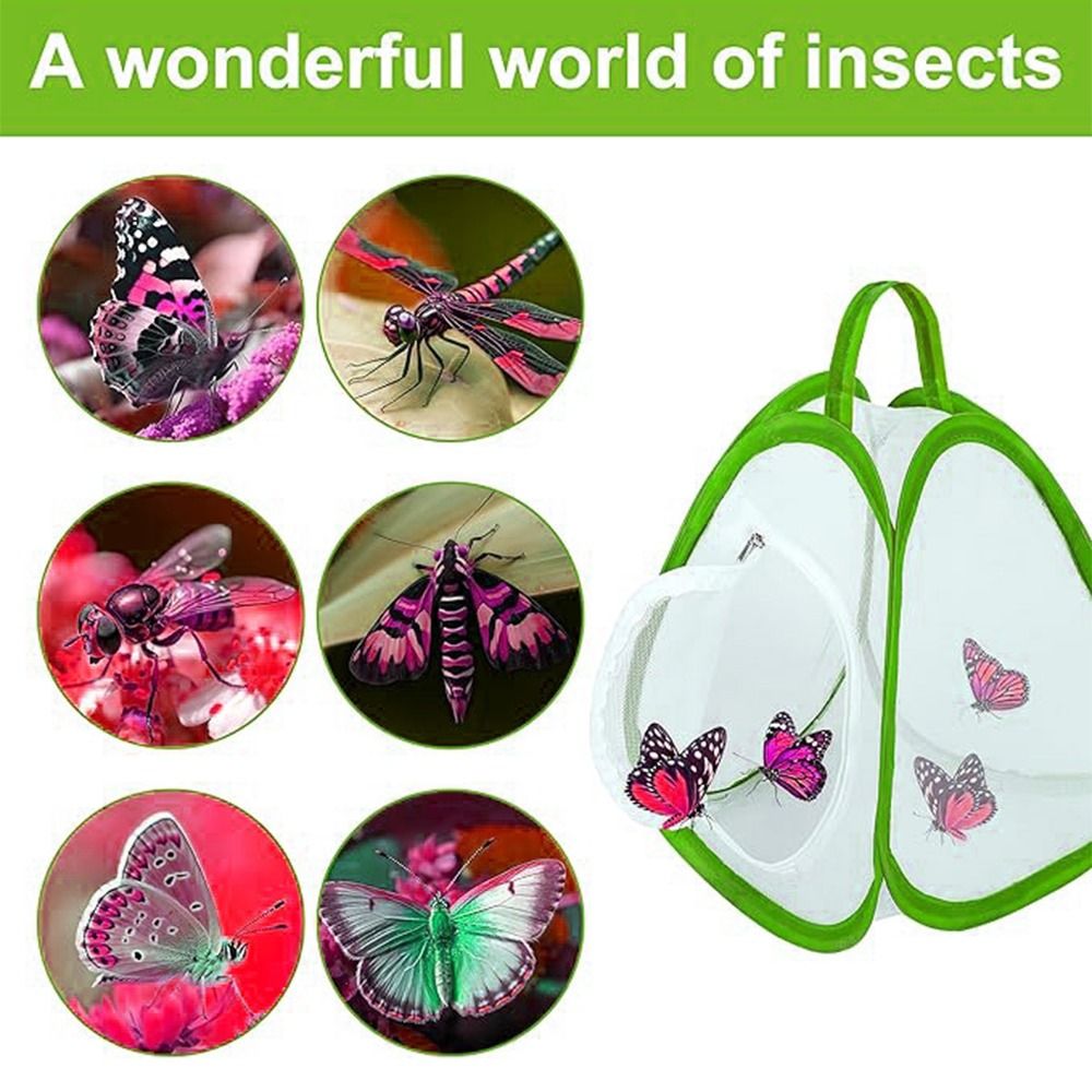 Cage à insectes pliable verte, - Green Screen Collapsible avis et prix