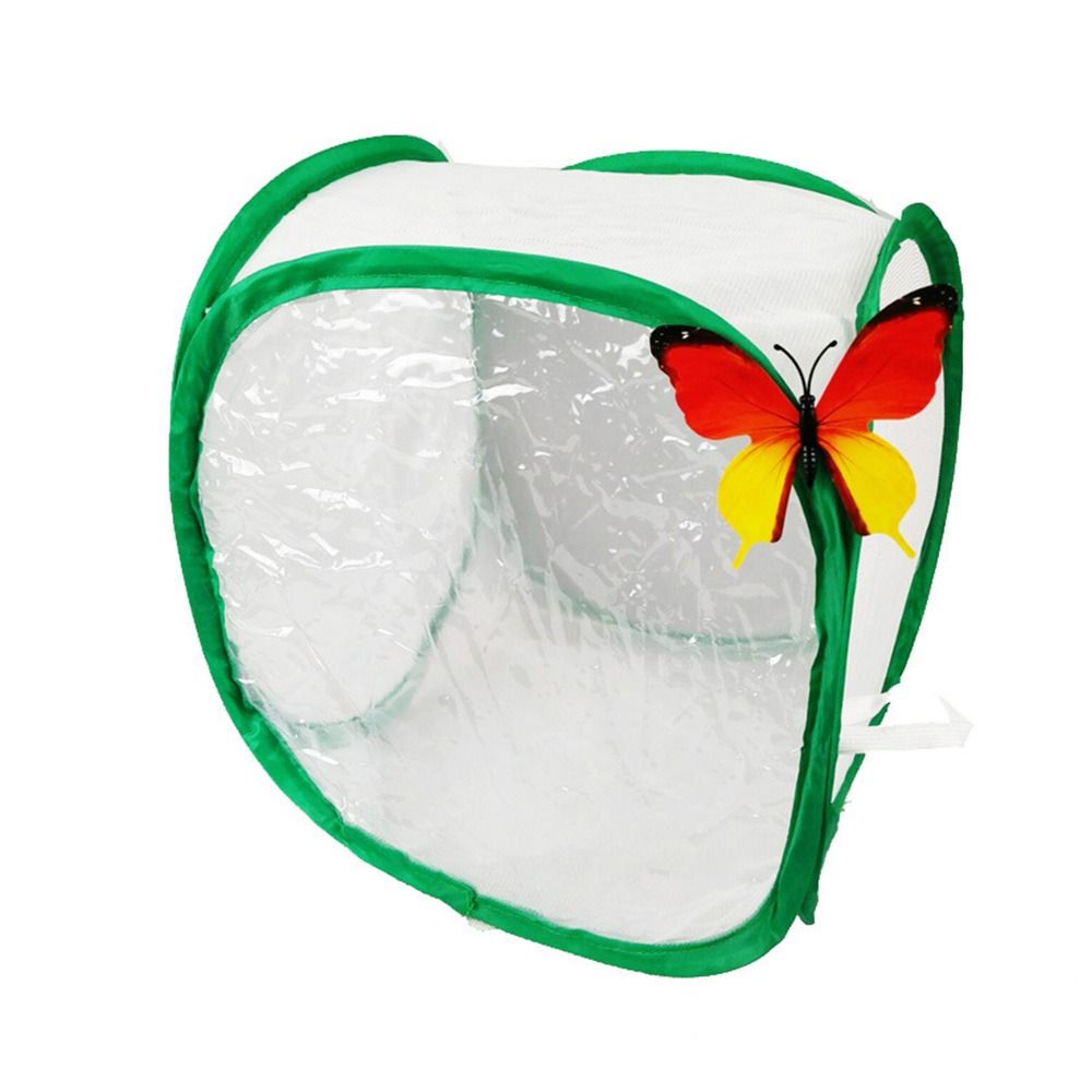 Cage à insectes pliable verte, - Green Screen Collapsible avis et prix